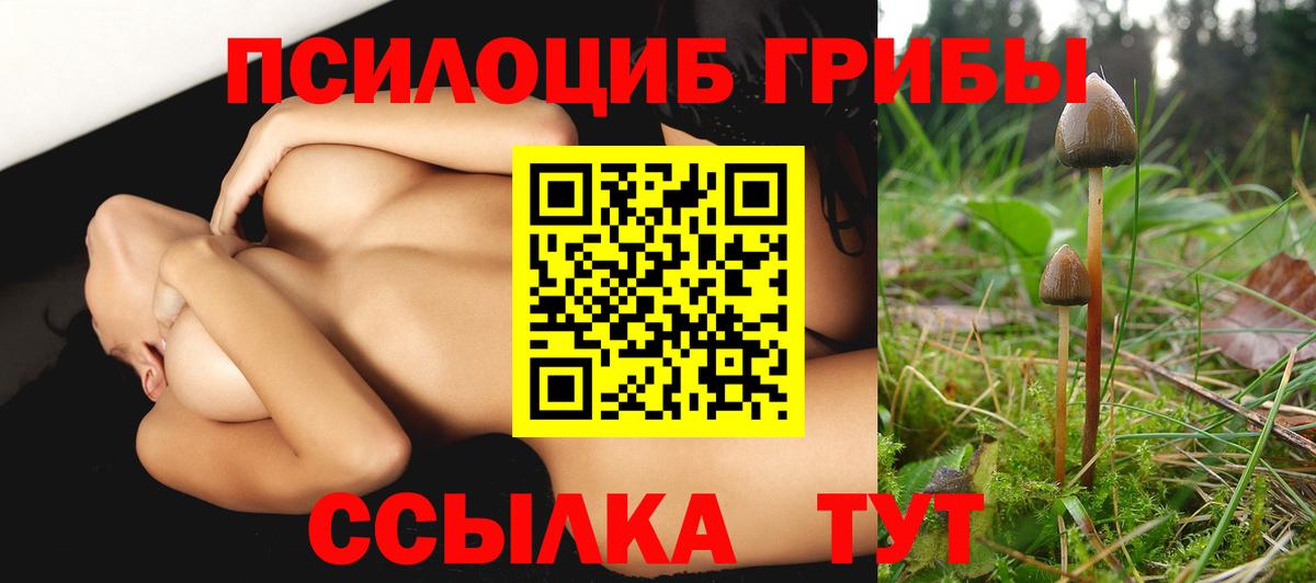 Псилоцибиновые грибы ЛСД Заинск